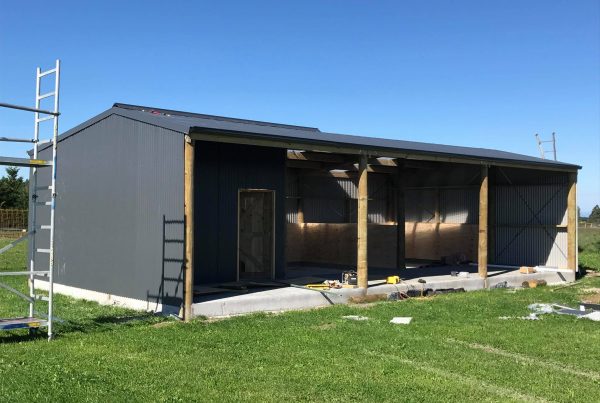 Three bay shed / horse stables farm build build by H3 Construction in Canterbury